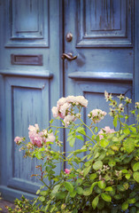 Fototapeta premium Old door and rosebush