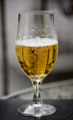 Glass of beer