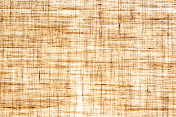 Light canvas background