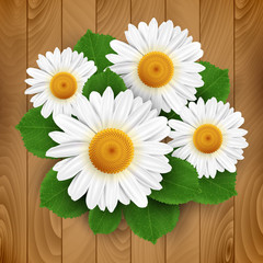 Fototapeta premium Small white flowers and leafs on a wooden background. Vector illustration.