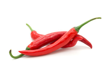 Hot red chili or chilli pepper isolated.