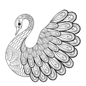 Hand drawing artistic Swan for adult coloring pages in doodle, z
