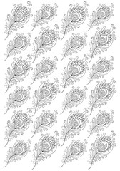 Hand drawn feathers of Peacock for adult coloring page A4 size i