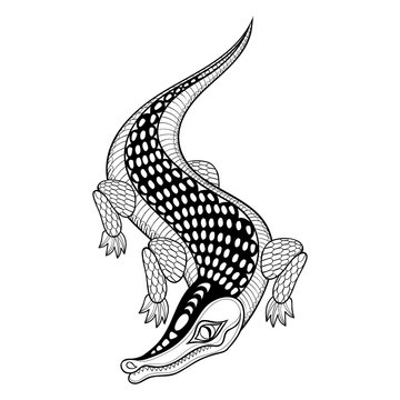Hand drawn ethnic zentangle Crocodile for adult coloring pages i