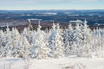 Fototapeta na wymiar Beautiful snowy landscape in Quebec, Canada