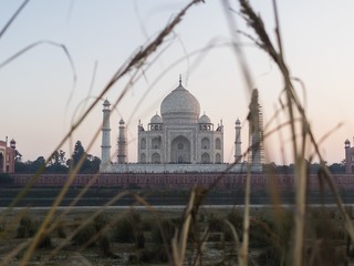 Fototapeta premium view from mehtab bagh to taj mahal