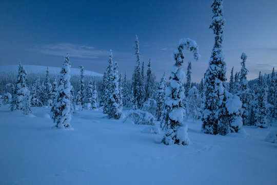 Winter in finnisch Lappland