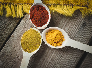 spices. turmeric, paprika, curry