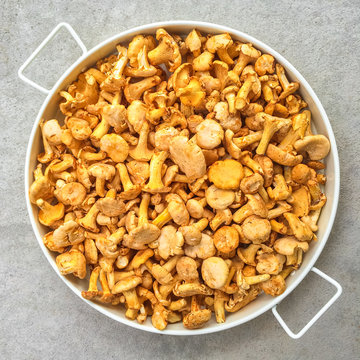 Tray with chanterelle mushrooms