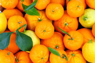 Citrus fruit © francescomou