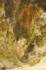 Steep, golden and amber walls of Grand Cayon of the Yellowstone River, with pine trees, Wyoming.