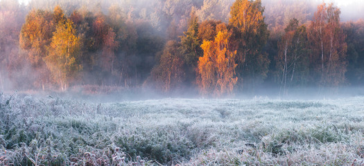 Foggy autumn sunrise