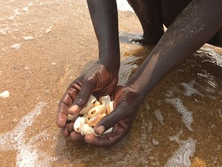 Ramasser des coquillages