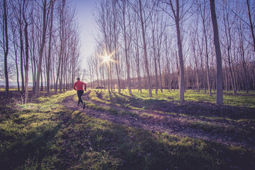 Man running in a forest in the country