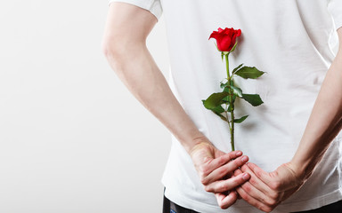 Man with single red rose