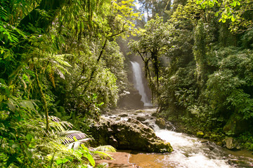 Fototapeta premium Butterfly garden waterfall