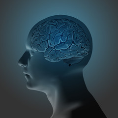 Obraz premium Abstract Human Head with a Brain. 