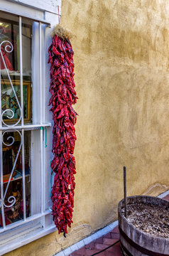 Red Peppers & Window in NM