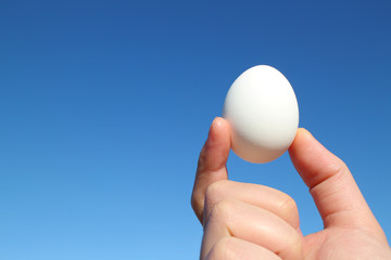 Fototapeta na wymiar white egg and the hand in the blue sky