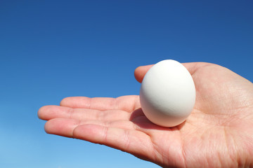 Fototapeta na wymiar white egg and the palm in the blue sky