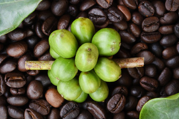 Fresh coffee beans on coffee beans backgourng