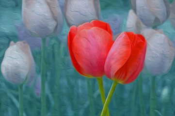 Tulips : Photographic Art Oil Painting