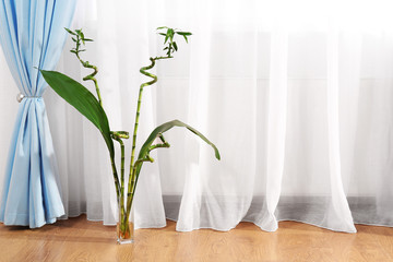 Room with curtain and window and plant in front of it