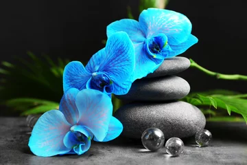 Foto op Canvas Beautiful spa composition with blue orchid and stones © Africa Studio