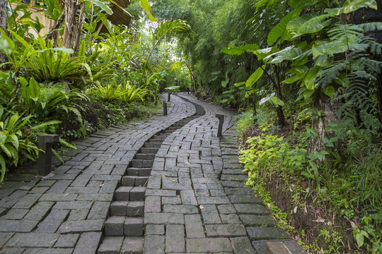 Stone pathway in tropical rainforest, Ubud, Bali, Indonesia