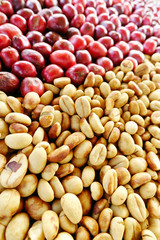 Coffe beans and fresh berries beans backgourng.