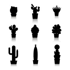 Cactus silhouettes on white background. Cactus in pots, home plants. Vector icons