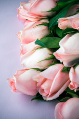 Fototapeta premium Beautiful roses for Valentines day.