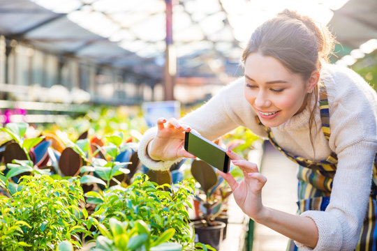 Happy woman gardener taking picture of plants with smartphone