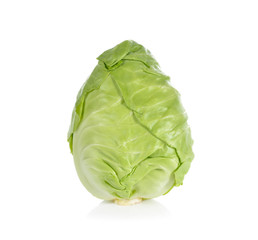 Fototapeta premium whole fresh cabbage on white background