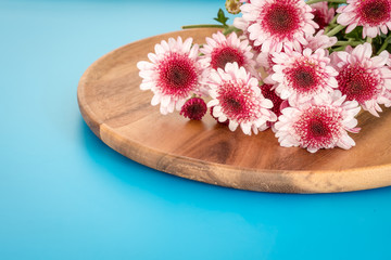 chrysanthemums flowers on wooden plate