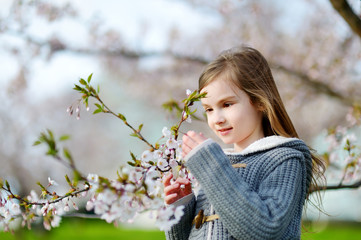 Naklejka na ściany i meble Adorable little girl in blooming cherry garden
