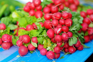 Bunches of radish sold on farmer's market
