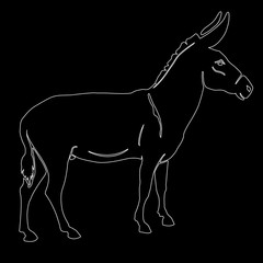 vector illustration donkey silhouette black white
