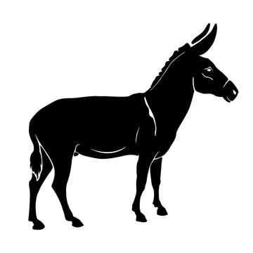 vector illustration donkey silhouette black white