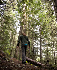 Naklejka premium Woman Hiking Through The Woodland Wilderness