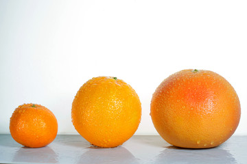 Citrus fruits isolated on white