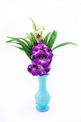 Purple orchid flower .