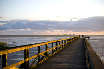 Fototapeta premium Wattenmeer bei Husum - Nordsee
