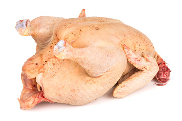 Raw chicken. Isolated on white.