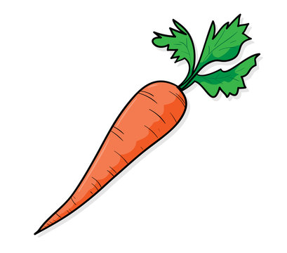 Carrot, a hand drawn vector illustration of a carrot, isolated on a simple shadow backdrop (editable).