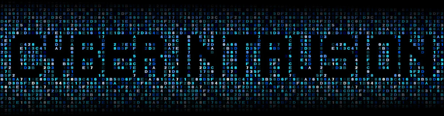 Cyber Intrusion text on hex code illustration