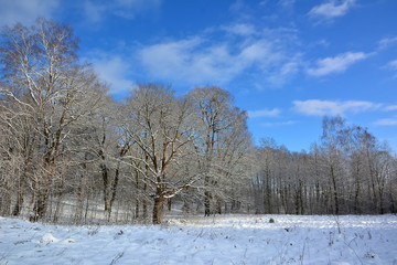 Witer country landscape in Poland