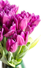 Obraz premium Bouquet of purple tulips