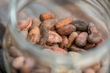 raw cocoa beans