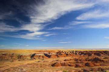 Fototapeta premium Painted desert